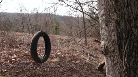 Tire swinging from a tree Stock Footage 270095539