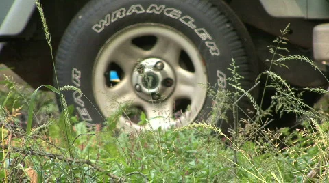 Tire In Tall Grass Stock Footage 266044