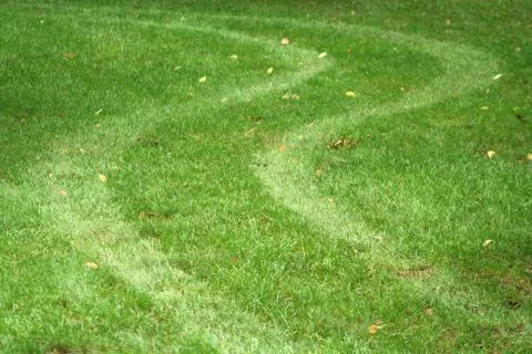 Tire track in the grass Stock Photos