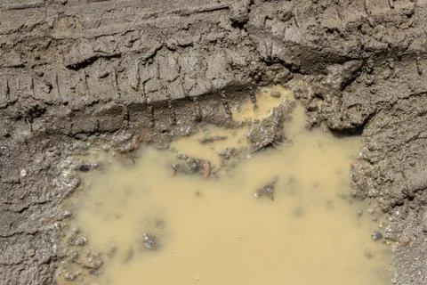 Tire track in the mud Stock Photos