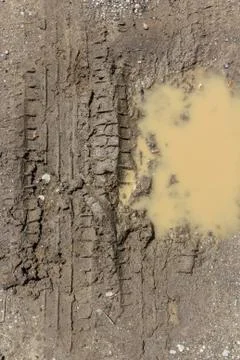 Tire track in the mud Stock Photos