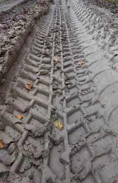 Tire track in mud Stock Photos