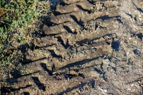 Tire track in soil with grass Stock Photos