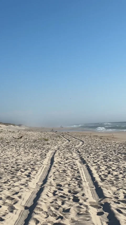 Tire tracks on the beach sand. Stock Footage 281909361