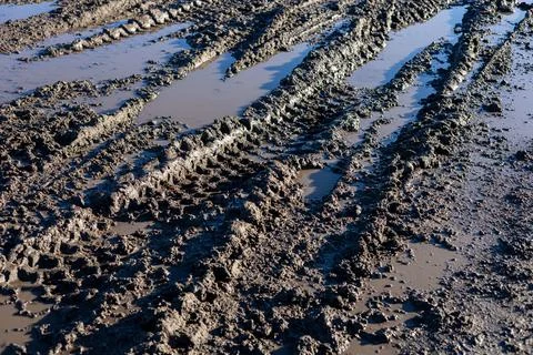 Tire tracks create patterns in wet soil, reflecting recent rainfall in an o.. Stock Photos