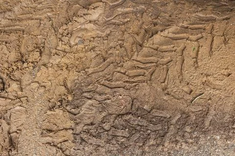 Tire tracks form interesting pattern in mud after severe storm Foto stock