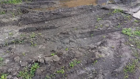 Tire tracks on the grass that turned to mud after the rain. Puddle on the road Stock Footage 317669341