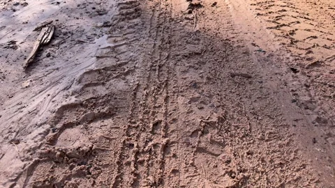 Tire tracks in mud on dirt road, vehicle tire marks on wet ground surface Stock-Footage 339366477