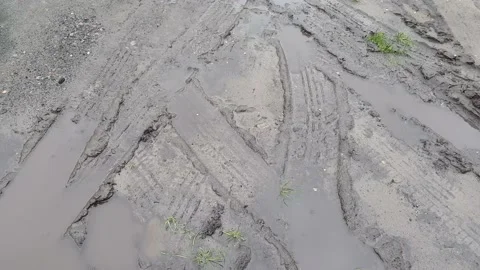 Tire tracks in the mud Stock Footage 130206060