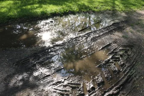 Tire Tracks In Mud Stock Photos