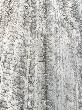 Tire Tracks in Mud Texture, Rough Terrain Pattern Featuring Automotive Stock Photos