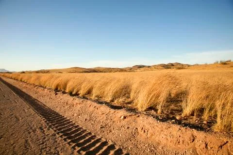 Tire tracks in Namibia Stock Photos