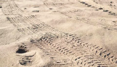 Tire tracks 스톡 사진