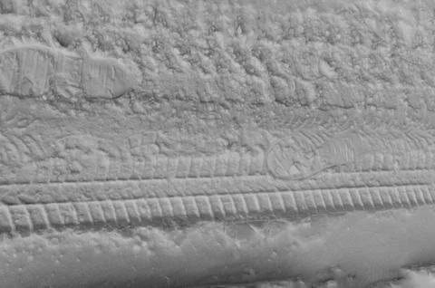 Tire tracks Foto stock