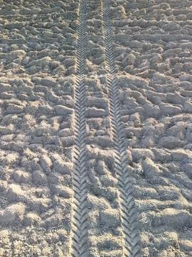 Tire tracks on sandy surface create a distinctive pattern under natural 写真素材
