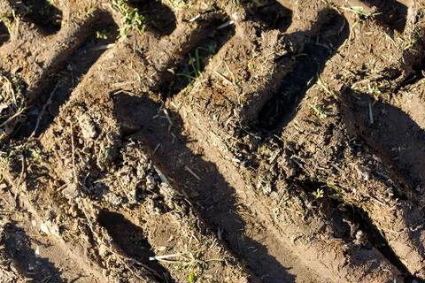 Tire tracks in soil Stock Photos