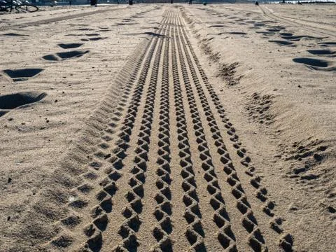 Tire tread marks from car or atv on sandy beach on sunny day Stock Photos