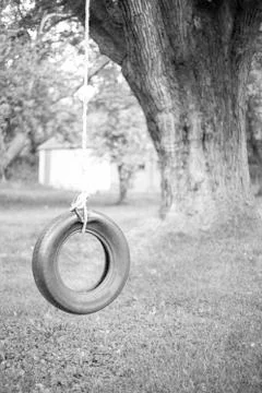 Tire tree rope Stock Photos