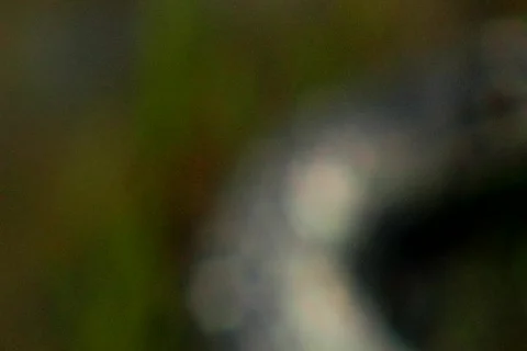 Tire in water, rack focus Video stock 438951