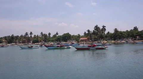 Tired fishing fleet getting back Stock Footage 54049545