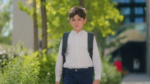Tired Schoolboy Walking Alone After School on Sidewalk Stock Footage 310016788