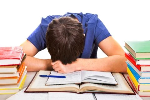 Tired Student sleeping Stock Photos