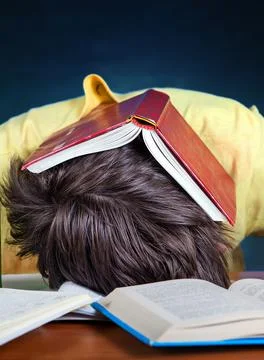 Tired Student sleeping Stock Photos