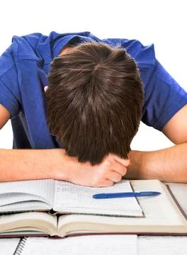 Tired Student sleeping Stock Photos