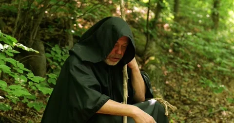 Tired Wanderer Resting in Forest Stock Footage 336693177