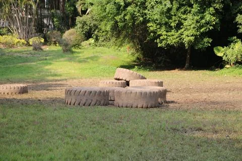 Tires in the grass for an outdoor course, in large areas of green space and.. Foto stock