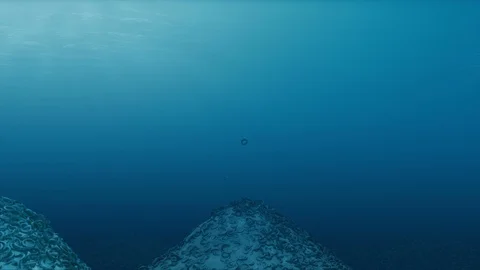 Tires - Pollution Underwater Stock Footage 108456698