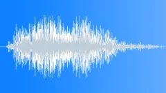 Tires Screeching Skidding #3Sound Effect