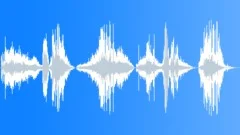 Tires screeching skidding Pack of 5 Sound Effect