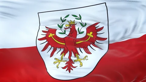 Tirol (state of Austria) flag waving in the wind with detailed texture. 動画素材 129388079