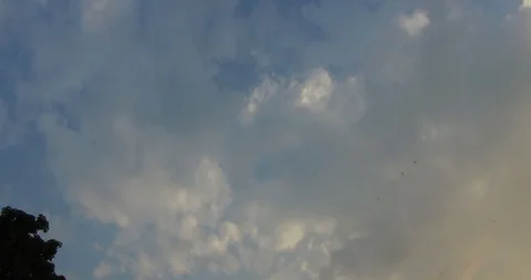 Tirupati Stock Footage 128227150