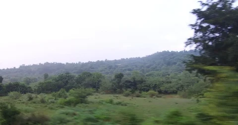 Tirupati Stock Footage 128229450