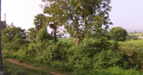 Tirupati Stock Footage 128229906