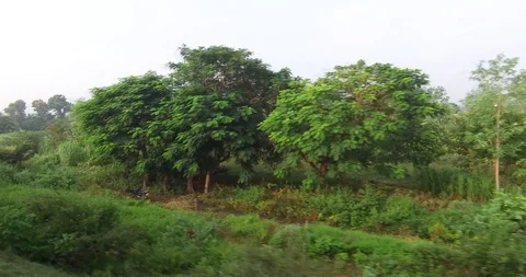 Tirupati Stock Footage 128230047