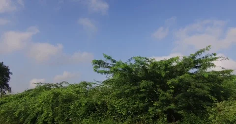 Tirupati Stock Footage 128231081