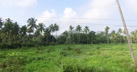 Tirupati Stock Footage 128231138