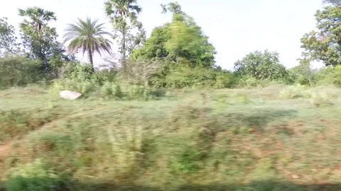 Tirupati Stock Footage 128231393