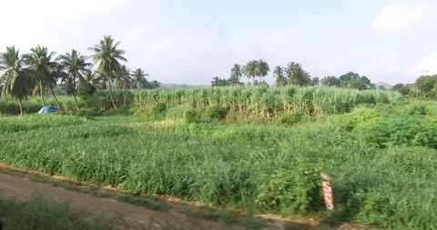 Tirupati Stock Footage 128232291