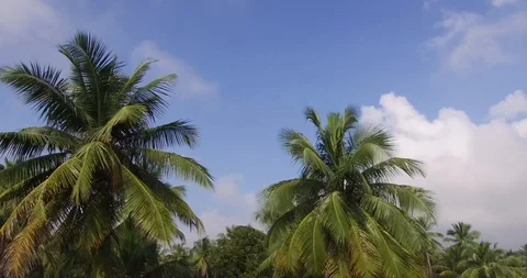 Tirupati Stock Footage 128233367