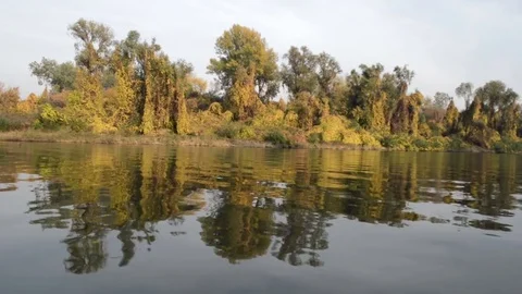 Tisa River in Autumn Stock Footage 81284384