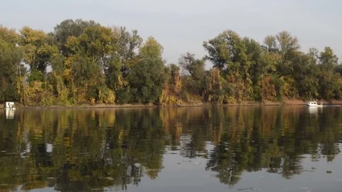 Tisa River in Autumn Stock Footage 81290232
