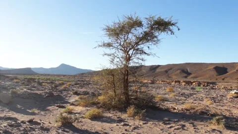 Tissint desert Stock Footage 138631594