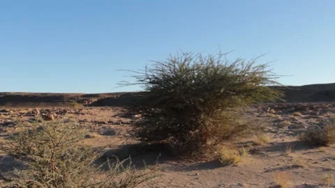 Tissint desert Stock Footage 138631714