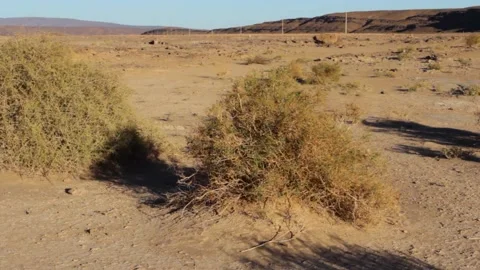 Tissint desert Stock Footage 138631884