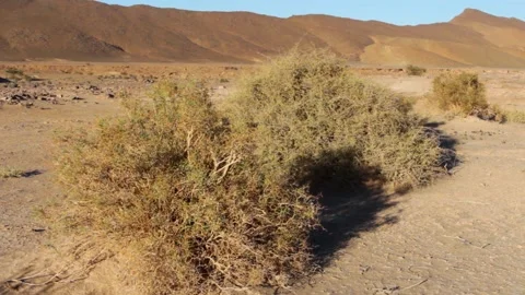 Tissint desert Stock Footage 138631890