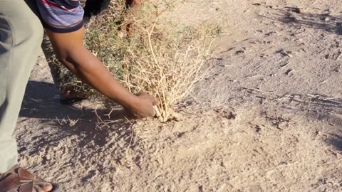 Tissint desert Stock Footage 138632072